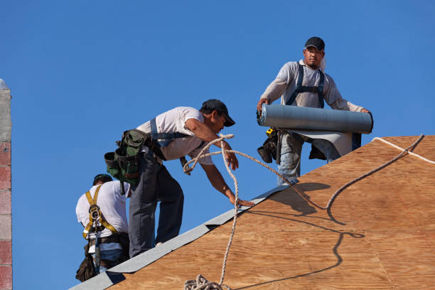 Best Roof Maintenance Services  in Barboursville, WV