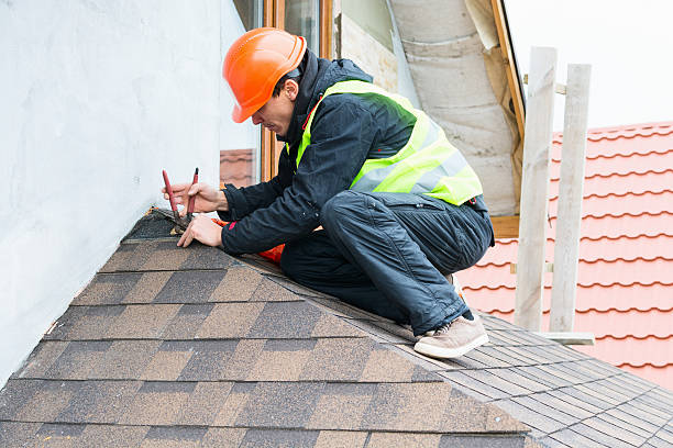 Best Roof Gutter Cleaning  in Barboursville, WV
